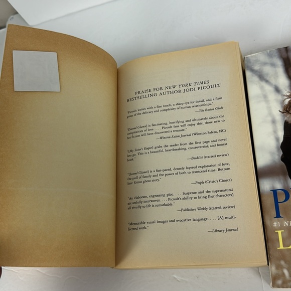 (3) Jodi Picoult Paper Trade Paperback Books Lone Wolf Second Glance Salem Falls - Picture 8 of 9